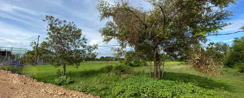 photo_2021-09-06_10-49-10