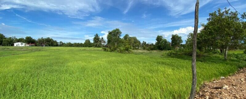 photo_2021-09-06_10-49-12