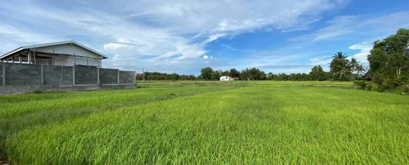 photo_2021-09-06_10-49-14