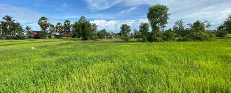 photo_2021-09-06_10-49-15 (3)