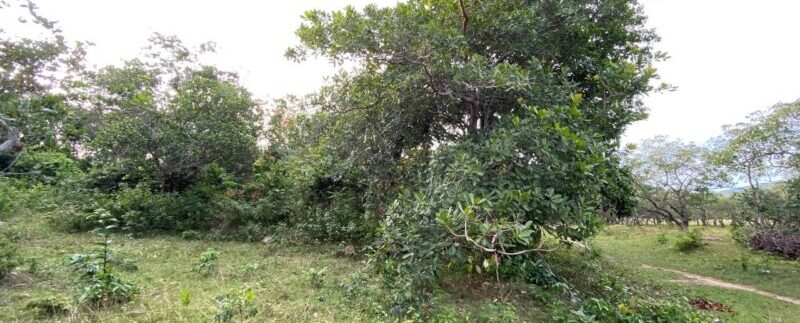 photo_2021-09-06_10-53-25