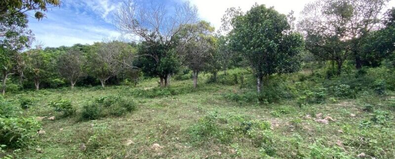 photo_2021-09-06_10-53-26