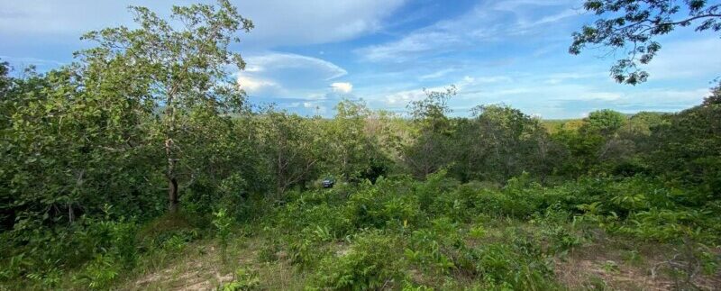 photo_2021-09-06_10-53-27 (2)