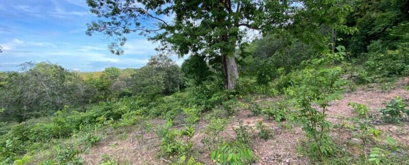 photo_2021-09-06_10-53-27