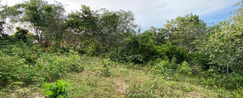 photo_2021-09-06_10-53-29