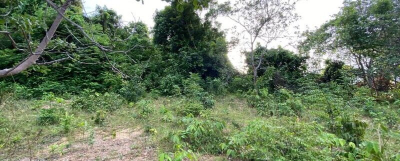 photo_2021-09-06_10-53-30