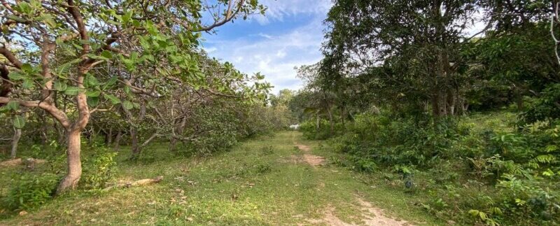 photo_2021-09-06_10-53-31