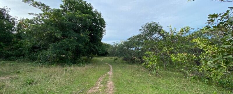 photo_2021-09-06_10-53-32