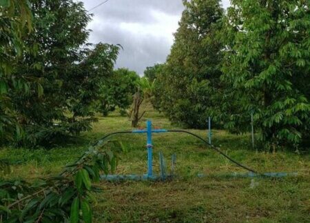 photo_2021-09-30_16-42-17