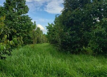 photo_2021-09-30_16-42-18