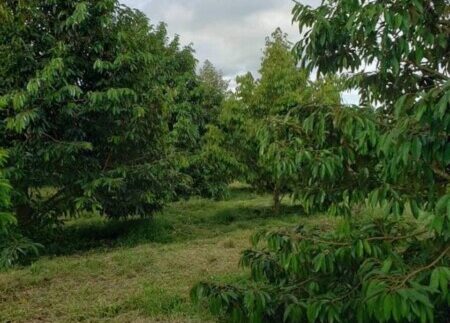 photo_2021-09-30_16-42-20