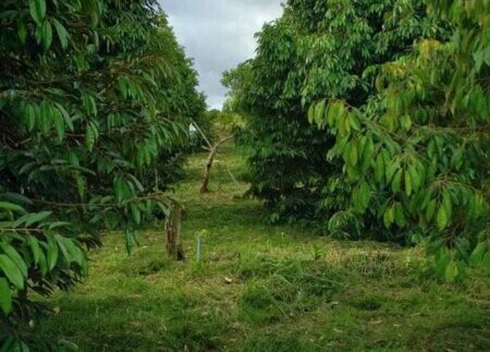 photo_2021-09-30_16-42-21