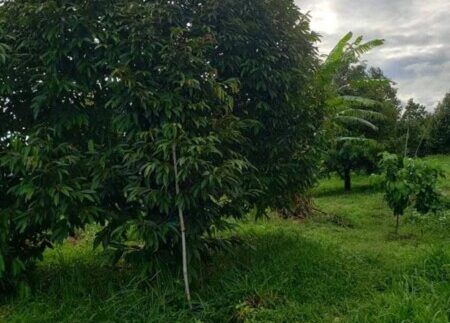 photo_2021-09-30_16-42-22