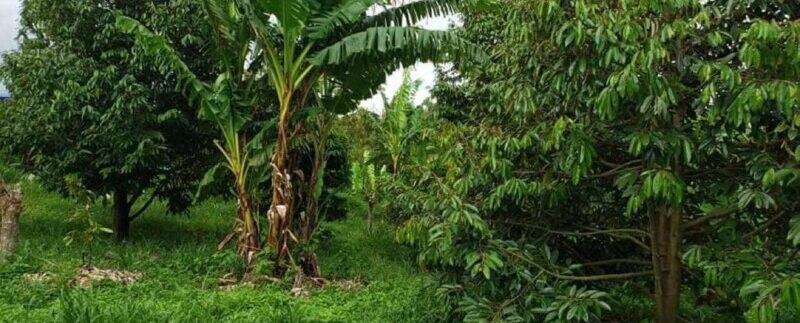 photo_2021-09-30_16-42-23