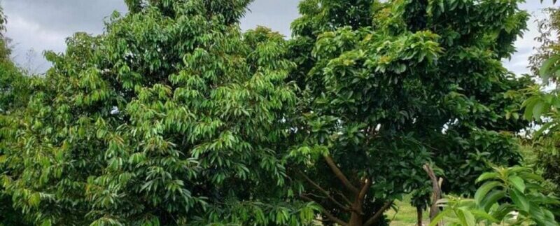 photo_2021-09-30_16-42-26