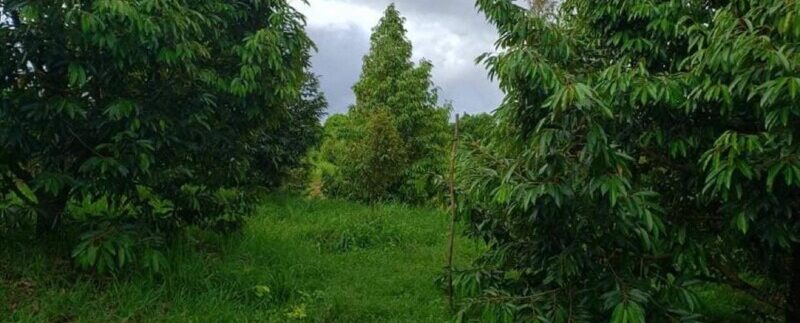 photo_2021-09-30_16-42-27