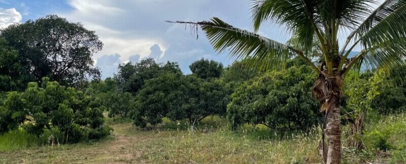 photo_2021-05-04_09-21-13