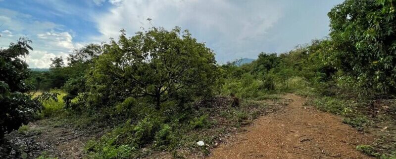 photo_2021-05-04_09-21-19