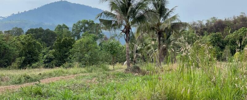 photo_2021-05-04_09-21-24