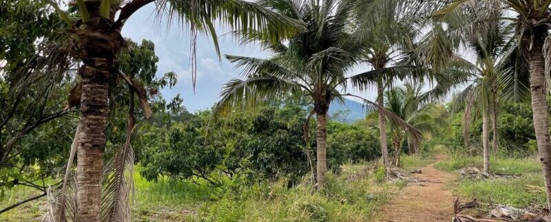 photo_2021-05-04_09-21-30