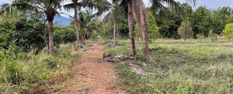 photo_2021-05-04_09-21-33