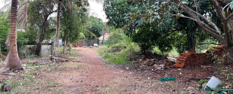 photo_2021-05-04_09-21-43