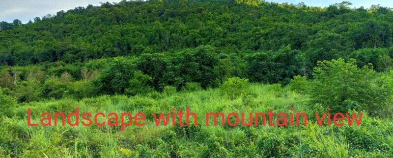 photo_2021-09-05_21-01-15