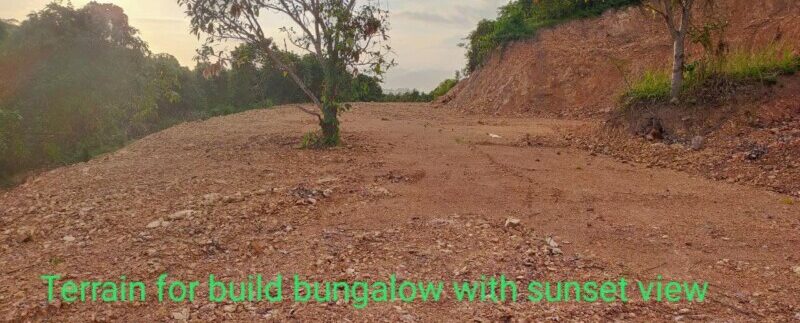 photo_2021-09-05_21-01-16