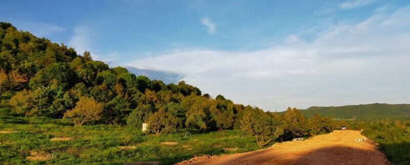 photo_2021-09-05_21-01-17 (2)