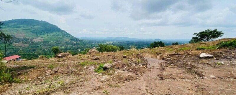 photo_2021-10-11_12-06-00