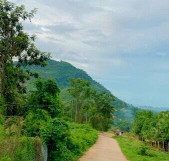 photo_2021-10-11_12-12-25