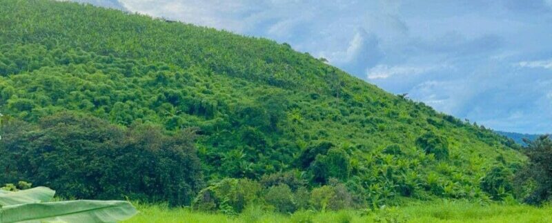 photo_2021-10-11_12-12-28