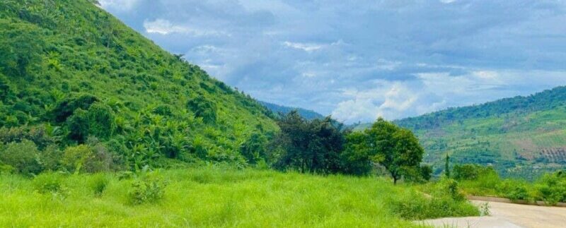 photo_2021-10-11_12-12-30