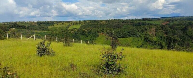 photo_2021-10-19_19-37-33