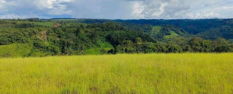 photo_2021-10-19_19-37-38