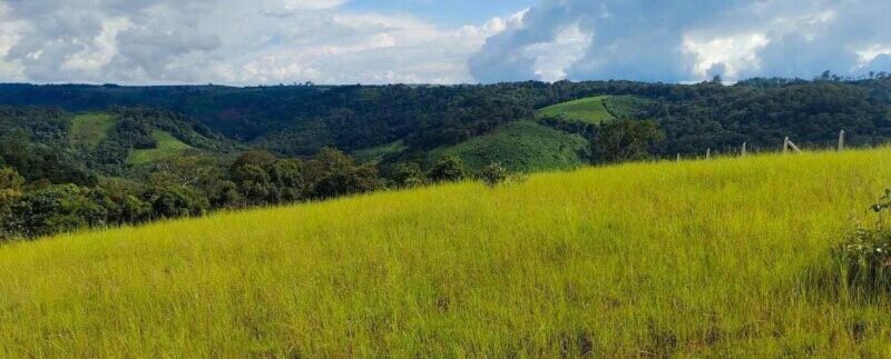 photo_2021-10-19_19-37-41