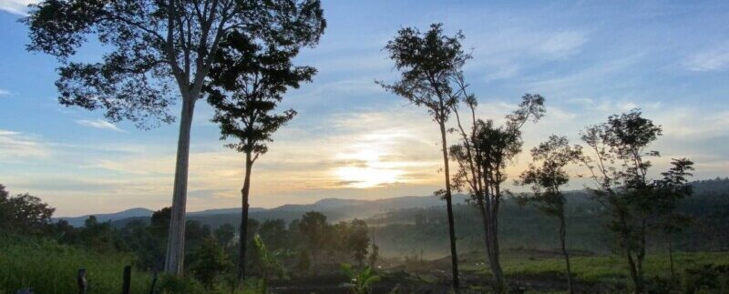 photo_2021-10-20_06-30-35