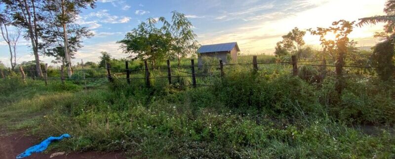 photo_2021-10-20_06-30-40