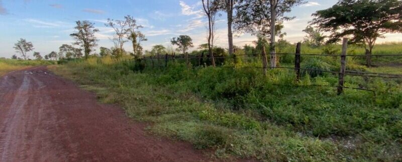 photo_2021-10-20_06-30-41