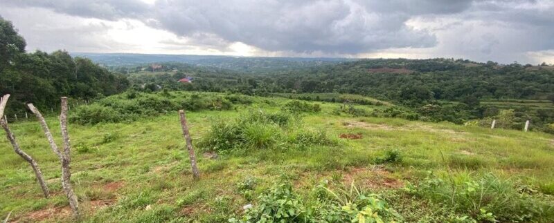 photo_2021-10-20_06-41-09