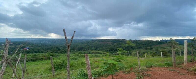 photo_2021-10-20_06-41-10
