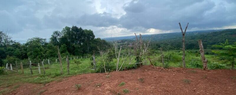 photo_2021-10-20_06-41-12