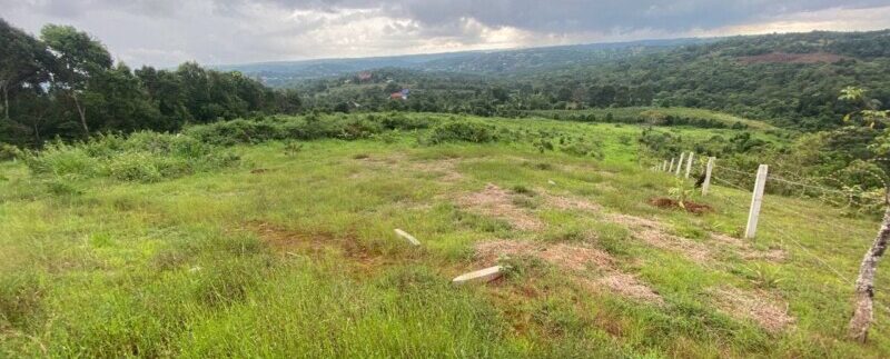 photo_2021-10-20_06-41-19