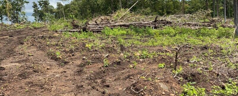 photo_2021-10-20_06-52-10