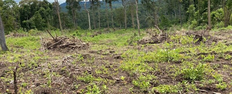 photo_2021-10-20_06-52-12