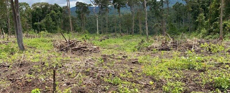 photo_2021-10-20_06-52-13