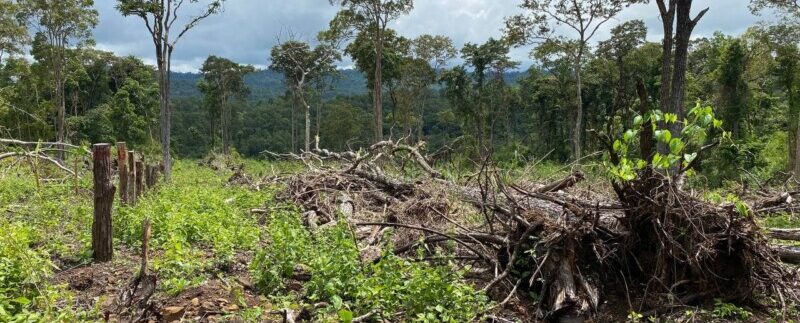 photo_2021-10-20_06-52-14