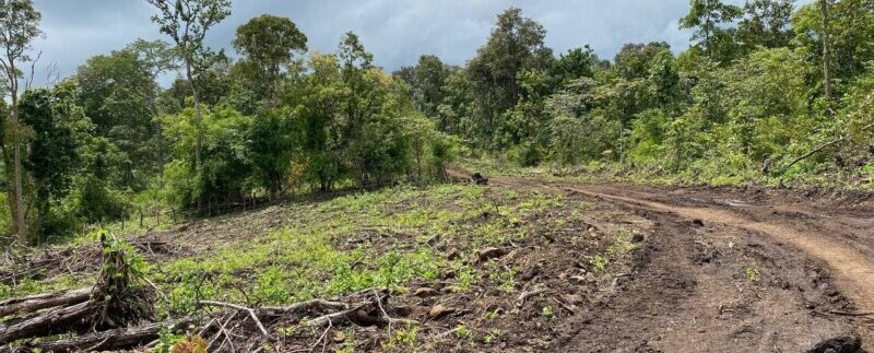 photo_2021-10-20_06-52-15