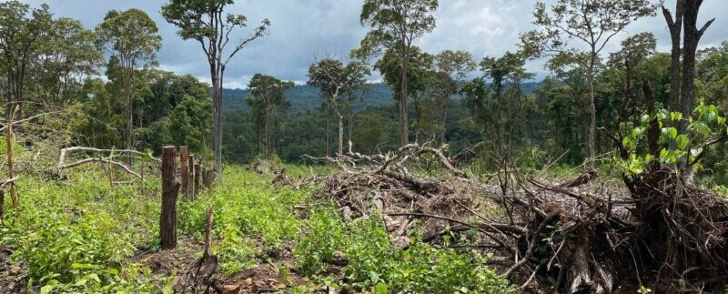 photo_2021-10-20_06-52-16