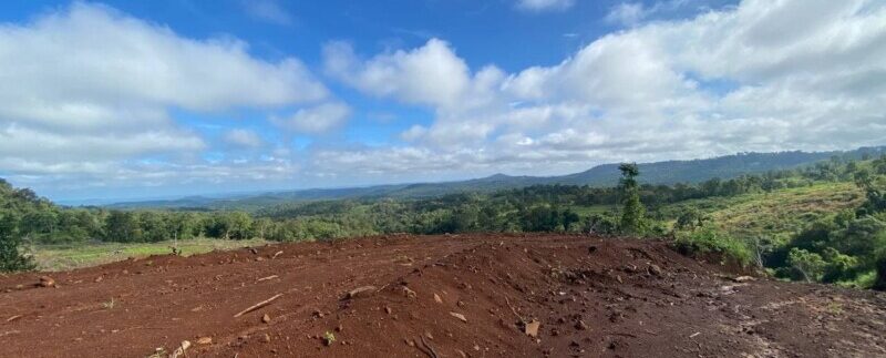 photo_2021-10-20_08-30-41